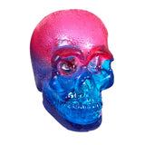 Hollow Hard Candy Skull filled with Gummies