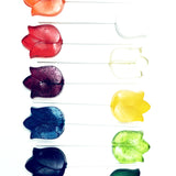 Lollipop - Tulip