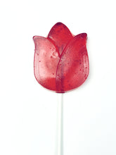 Lollipop - Tulip