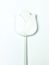 Lollipop - Tulip